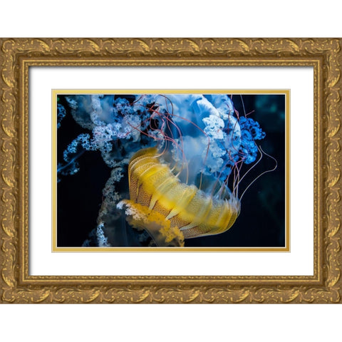 Underwater Dancer Gold Ornate Wood Framed Art Print with Double Matting by Lacina, Renata