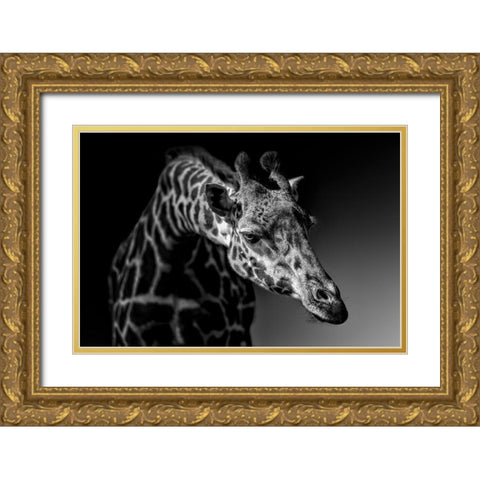 Giraffe Gold Ornate Wood Framed Art Print with Double Matting by Zhao, Alex