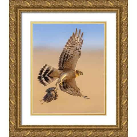 Untitled Gold Ornate Wood Framed Art Print with Double Matting by Sobhi, Ahmed