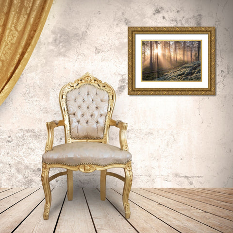 Fog In The Forest With White Moss In The Forground Gold Ornate Wood Framed Art Print with Double Matting by Lindsten, Christian