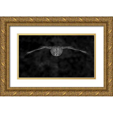 Great Gray Owl In Fly Gold Ornate Wood Framed Art Print with Double Matting by Wang, Bo
