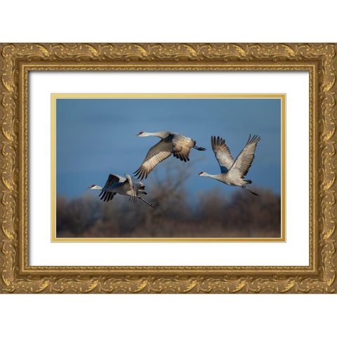 Spring Migration Gold Ornate Wood Framed Art Print with Double Matting by Feng, Young