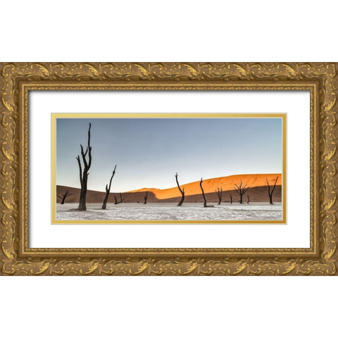Namibian Desert Gold Ornate Wood Framed Art Print with Double Matting by Ruoppolo, Luigi
