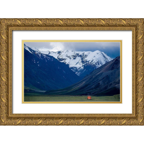 Appa?Â Gold Ornate Wood Framed Art Print with Double Matting by Zhang, Robert
