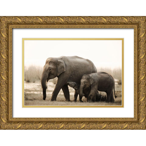 Family Portrait Gold Ornate Wood Framed Art Print with Double Matting by Swapnil