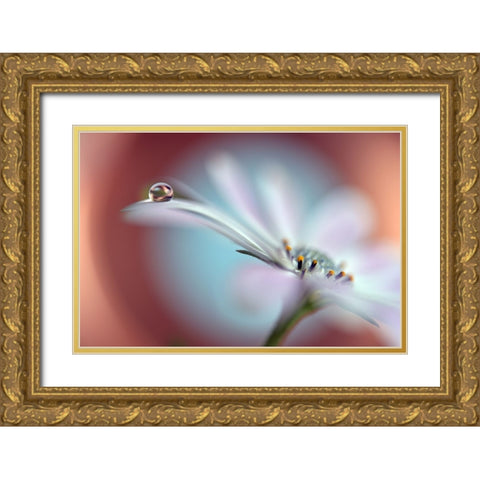Summer Dream Gold Ornate Wood Framed Art Print with Double Matting by Westum, Heidi