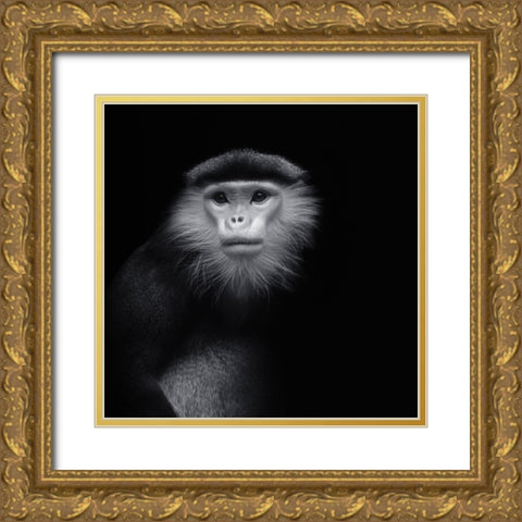 Ape 2 Gold Ornate Wood Framed Art Print with Double Matting by Vollrath, Jorg
