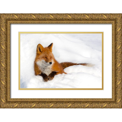 Enjoyment Gold Ornate Wood Framed Art Print with Double Matting by Budkov, Denis