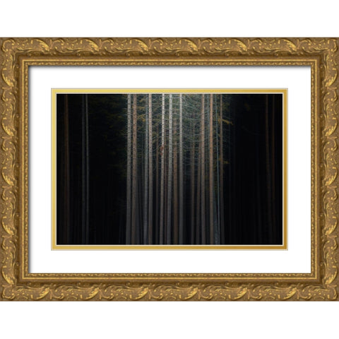 Second Skin Gold Ornate Wood Framed Art Print with Double Matting by De Franzoni, Thomas