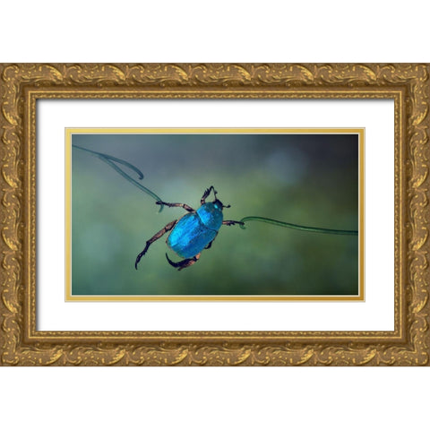 The Acrobat Gold Ornate Wood Framed Art Print with Double Matting by Hoffman, Jimmy