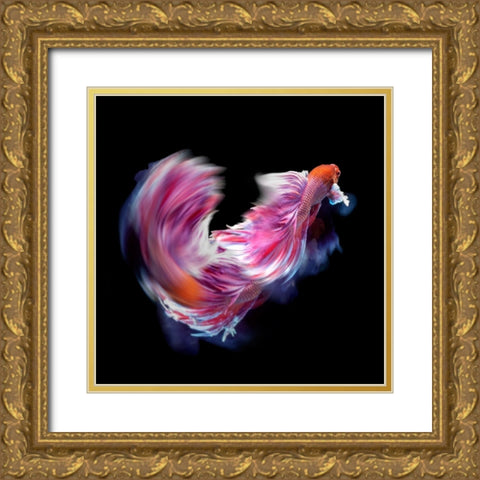 Bettafish Dance Motion Gold Ornate Wood Framed Art Print with Double Matting by Bunjamin, Antonyus