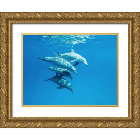 Familly Gold Ornate Wood Framed Art Print with Double Matting by Melesan, Serge