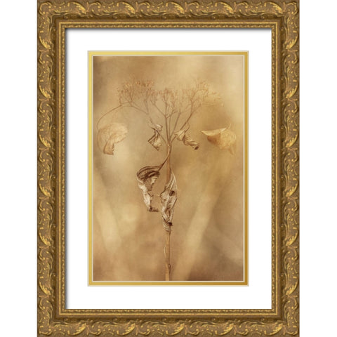 Withered Hydrangea_011 Gold Ornate Wood Framed Art Print with Double Matting by Suzuki, Takashi
