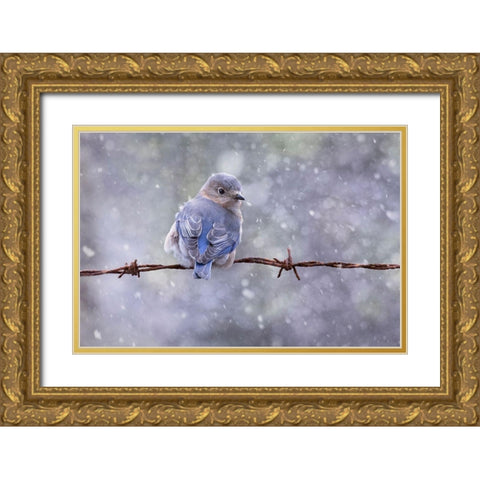 Eastern Bluebird Gold Ornate Wood Framed Art Print with Double Matting by D Lester, Linda