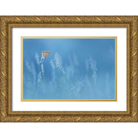 Blues Gold Ornate Wood Framed Art Print with Double Matting by Pamungkas, Edy