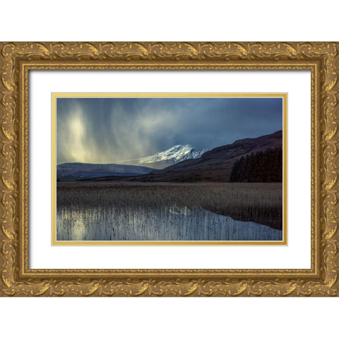 Chriosd Gold Ornate Wood Framed Art Print with Double Matting by Darby, Rob