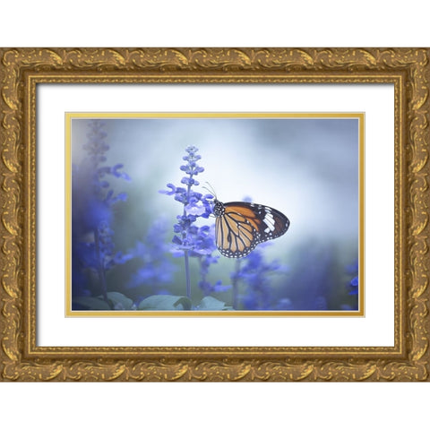 Butterfly Gold Ornate Wood Framed Art Print with Double Matting by Li, Wang