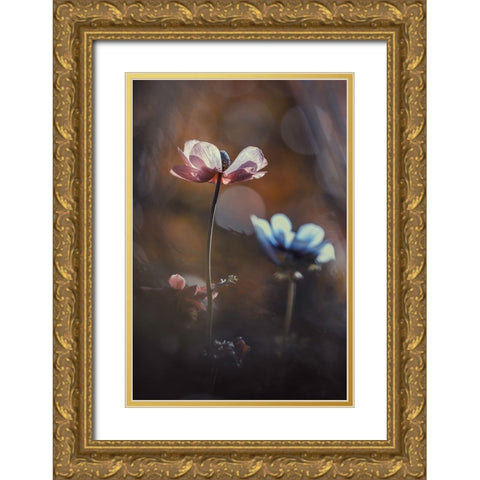 Florilauge Gold Ornate Wood Framed Art Print with Double Matting by Bravin, Fabien