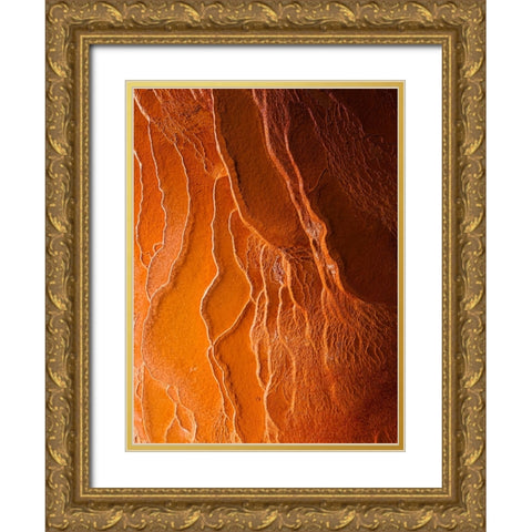 Badab-E Surt In Winter II Gold Ornate Wood Framed Art Print with Double Matting by Behzad, Majid