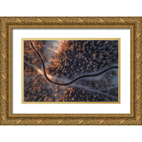 First Light Gold Ornate Wood Framed Art Print with Double Matting by Krivec, Ales