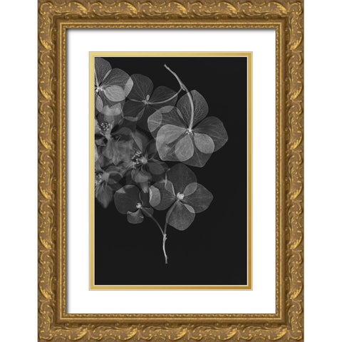 Botanical 25 Gold Ornate Wood Framed Art Print with Double Matting by Lenka