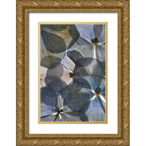 Botanical #26 Gold Ornate Wood Framed Art Print with Double Matting by Lenka