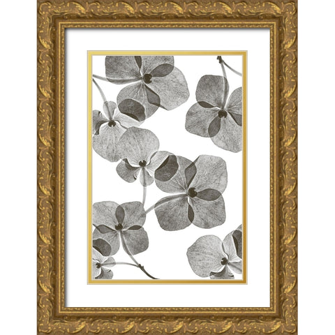Botanical 39 Gold Ornate Wood Framed Art Print with Double Matting by Lenka