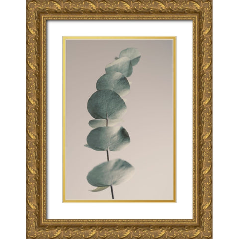 Fragrant Leaves Ll Gold Ornate Wood Framed Art Print with Double Matting by Westum, Heidi