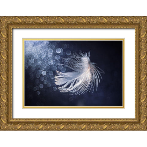 Placidity Gold Ornate Wood Framed Art Print with Double Matting by Kopcev, Igor