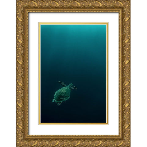 The Fly Of The Hawksbill Gold Ornate Wood Framed Art Print with Double Matting by Melesan, Serge