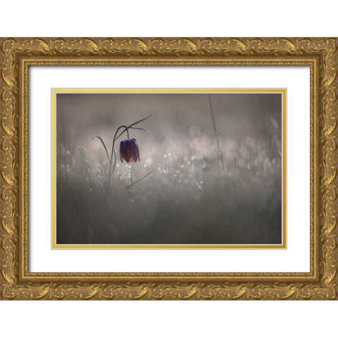 Pactillant Gold Ornate Wood Framed Art Print with Double Matting by Blomme, Sebastien