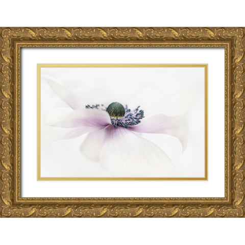 Simplicity Gold Ornate Wood Framed Art Print with Double Matting by Parker, Jacky