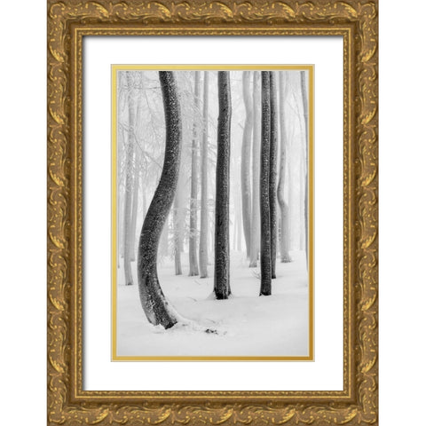 Shapes Gold Ornate Wood Framed Art Print with Double Matting by Pavlasek, Tom