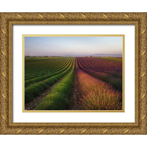 Field Of Lavender Gold Ornate Wood Framed Art Print with Double Matting by Anton, Rostovskiy