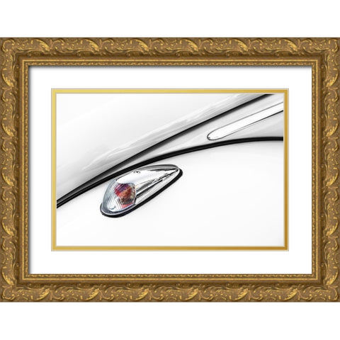 Unmistakable Gold Ornate Wood Framed Art Print with Double Matting by Ruckert, Stephan