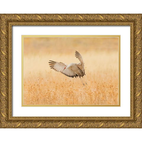 Untitled Gold Ornate Wood Framed Art Print with Double Matting by Wang, Qingsong