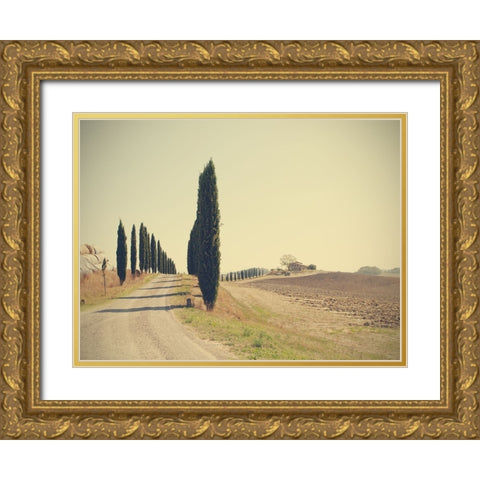 Tuscan Countryside Gold Ornate Wood Framed Art Print with Double Matting by Della Latta, Massimo