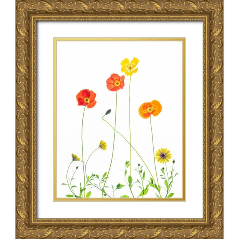 Flowers Gold Ornate Wood Framed Art Print with Double Matting by Ren, Chuanxu
