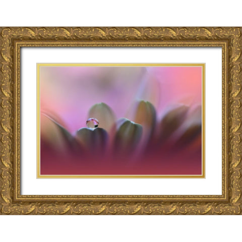 Untitled Gold Ornate Wood Framed Art Print with Double Matting by Nan, Juliana