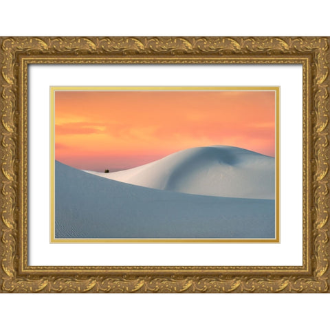 White Sands Gold Ornate Wood Framed Art Print with Double Matting by Ning, Aidong