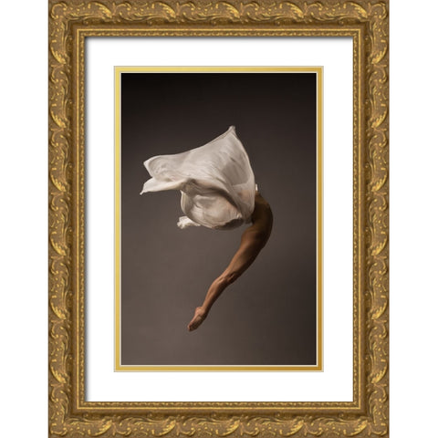 Freedom Gold Ornate Wood Framed Art Print with Double Matting by Sleta, Natalya
