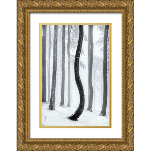 Dancing Tree Gold Ornate Wood Framed Art Print with Double Matting by Pavlasek, Tom