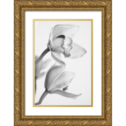 Orchid Gold Ornate Wood Framed Art Print with Double Matting by Mandich, Igor