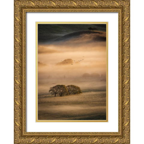 Morning Fog Gold Ornate Wood Framed Art Print with Double Matting by Zheng, Michael