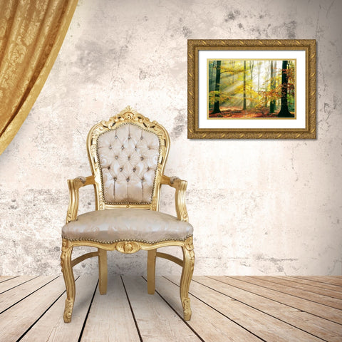 Sinfonia Della Foresta Gold Ornate Wood Framed Art Print with Double Matting by Van De, Lars