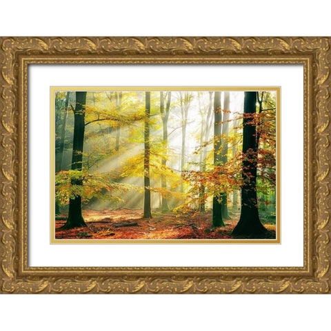 Sinfonia Della Foresta Gold Ornate Wood Framed Art Print with Double Matting by Van De, Lars