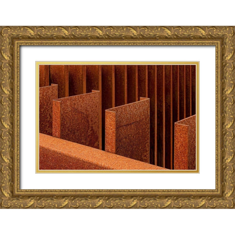 Finished With Steel Gold Ornate Wood Framed Art Print with Double Matting by Martin Annapileafotografie, Anita
