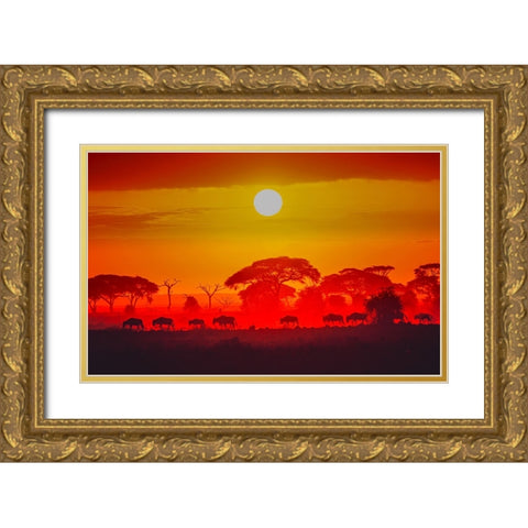 Amboseli Sunrise Gold Ornate Wood Framed Art Print with Double Matting by C. Sink, Jeffrey