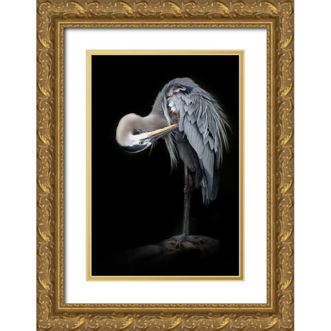 The Great Blue Heron Gold Ornate Wood Framed Art Print with Double Matting by D Lester, Linda
