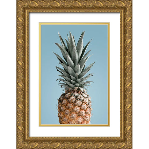 Pineapple Blue 02 Gold Ornate Wood Framed Art Print with Double Matting by 1x Studio III
